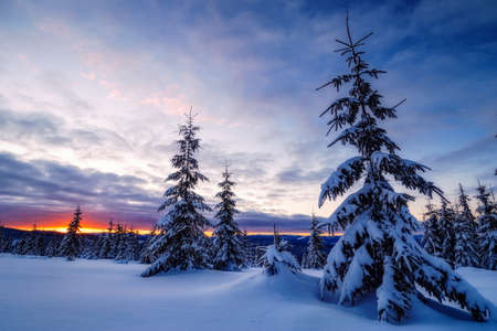 Wide view of a sunset during winter on top of mountains with fir trees covered in snow near Marisel,...
