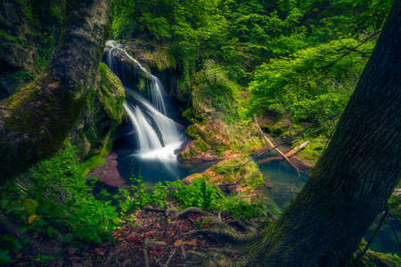 Vaioaga waterfall big waterfall in Nera gorges Cheile Nerei in Romania framed between two treesの写真素材