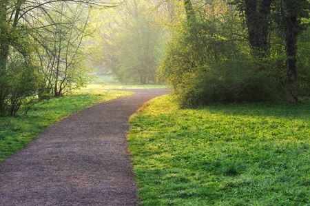 Sunny park path path early in the morningの写真素材
