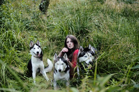 woman in red dress with tree wolfs, forest, husky dogs, halloweenの写真素材