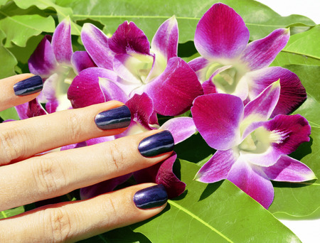 bright colored photo of fingernails with manicure and orchids magenta close upの写真素材