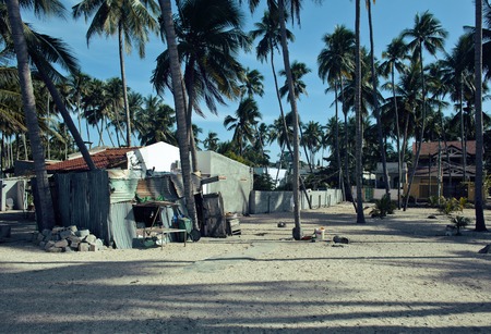little vietnamese house on seacoast among palms and sand, poor fisherman homeの写真素材