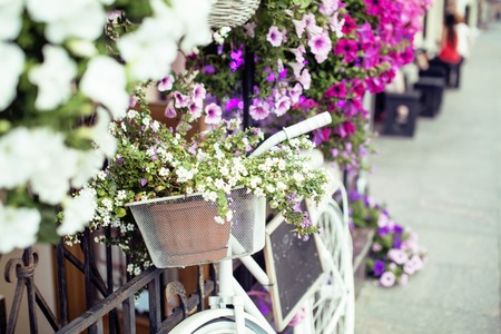 flower in basket of vintage bicycle on vintage wooden house wall, summer street cafe close upの写真素材