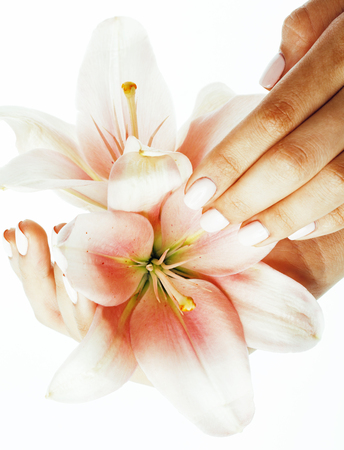 beauty delicate hands with manicure holding flower lily close up isolated on whiteの写真素材