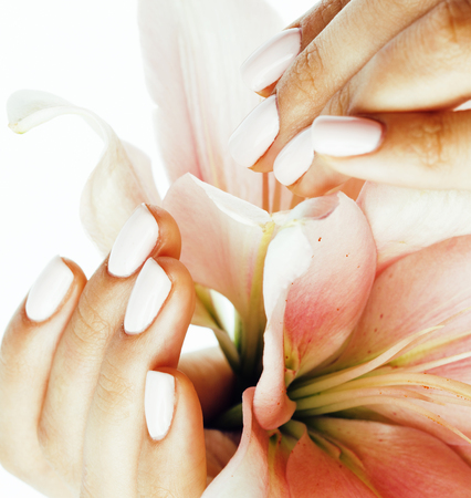 beauty delicate hands with manicure holding flower lily close upの写真素材