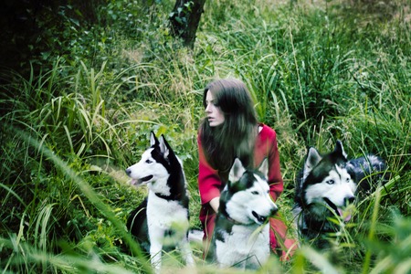 woman in red dress with tree wolfs, forest, husky dogs mystery portraitの写真素材
