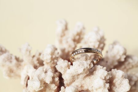 beautiful macro shot of golden wedding ring with sea shell and coral on yellow backgroundの写真素材