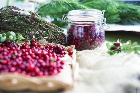 autumn berries on table, lingonberry raw close upの写真素材
