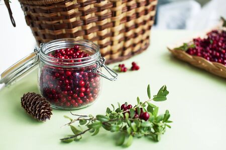 autumn berries on table, lingonberry raw closeupの写真素材