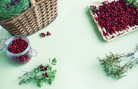 autumn berries on table, lingonberry rawの写真素材