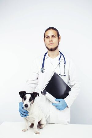 Young veterinarian doctor in blue gloves examine little cute dog jack russell isolated on white background.の写真素材