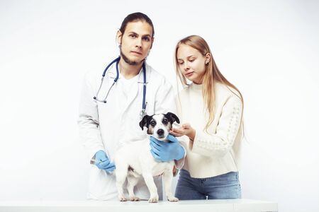 young veterinarian doctor in blue gloves examine little cute dog jack russell isolated on white background with owner blond girl holding it, animal healthcareの写真素材