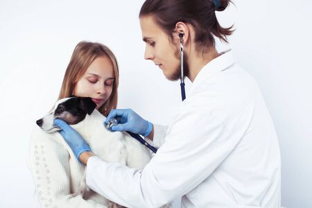 young veterinarian doctor in blue gloves examine little cute dog jack russell isolated on white background with owner blond girl holding it, animal healthcareの写真素材