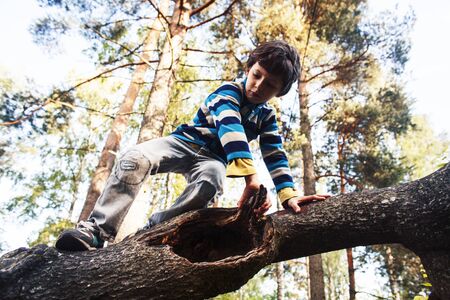 little cute boy climbing on tree, lifestyle people conceptの写真素材
