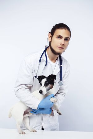 young veterinarian doctor in blue gloves examine little cute dog jack russell isolated on white background, animal healthcare conceptの写真素材