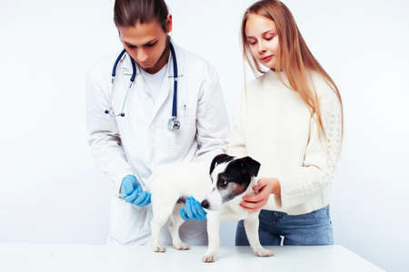 young veterinarian doctor in blue gloves examine little cute dog jack russell isolated on white background with owner blond girl holding it, animal healthcareの写真素材