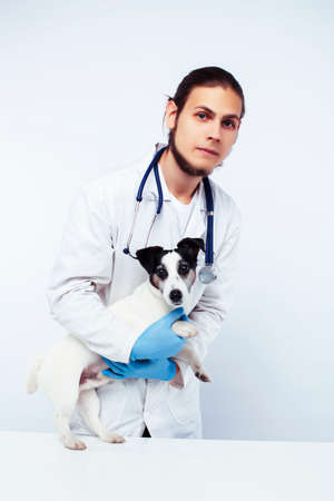 young veterinarian doctor in blue gloves examine little cute dog jack russell isolated on white background, animal healthcare conceptの写真素材