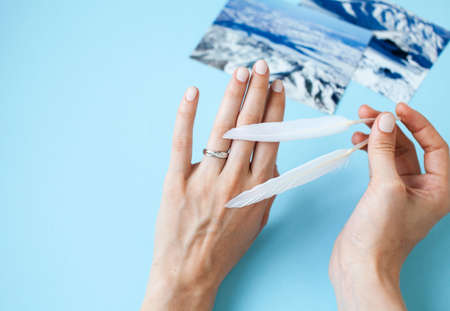 beautiful manicured woman hands with white feather on blue backgroundの写真素材