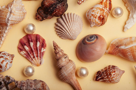 a lot of different empty sea shells on yellow background, macro detailsの写真素材