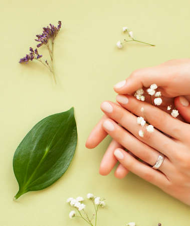 pretty perfect woman hands with white manicure and green leaf on colorful background with wood, spa cosmetic conceptの写真素材