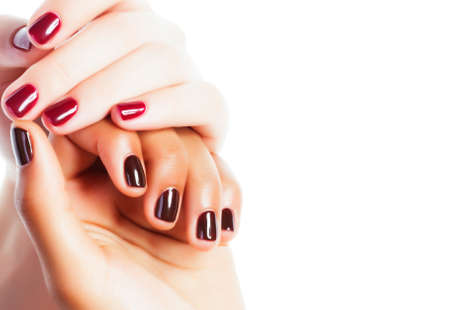 woman hands together manicured african tan and caucasian white isolated gesturing, lifestyle diverse peopleの写真素材