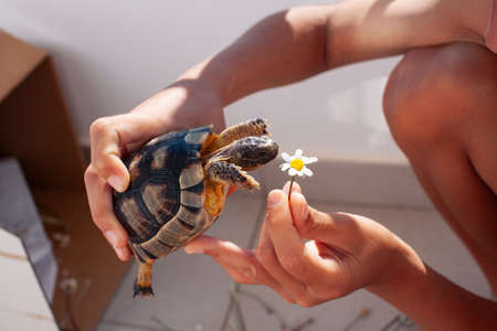 g with turtle, lifestyle people concept