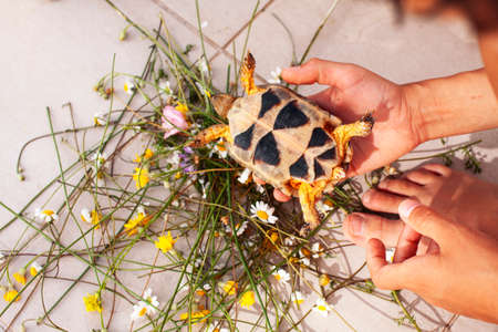 g with turtle, lifestyle people conceptの写真素材