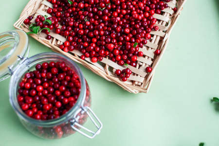 autumn berries on table, lingonberry raw closeupの写真素材