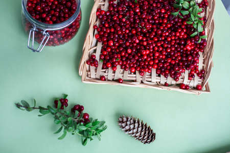 autumn berries on table, lingonberry raw closeupの写真素材
