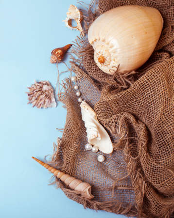 diverse travel girlish stuff on colorful background blue and yellow, nobody tourism lifestyle concept close upの写真素材