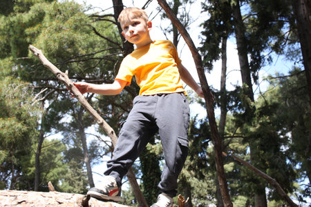 little cute boy climbing on tree, lifestyle people conceptの写真素材