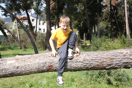 little cute boy climbing on tree, lifestyle people conceptの写真素材