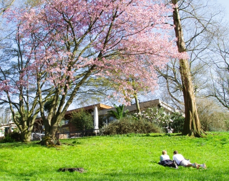 hamburg Garden in spring with a couple under the cherry treeのeditorial素材