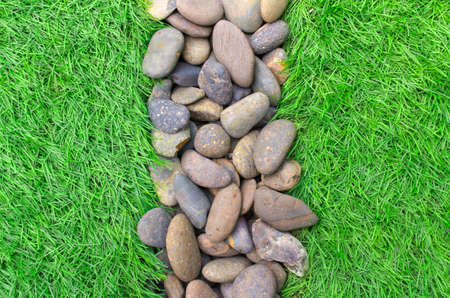 grass with center pebble lineの写真素材