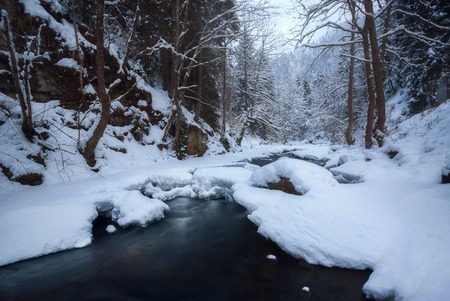 Slow flowing water. River snow bank on a winter forestの写真素材