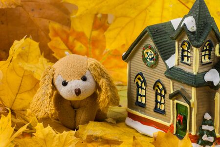 Beautiful creative autumn composition. cute soft toy dog. dried bright autumn leaves, small toy house. Close upの写真素材