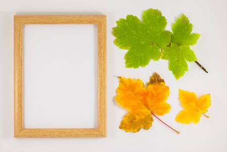 Autumn composition. Photo frame, dried leaves. Autumn, fall, Flat lay, top viewの写真素材