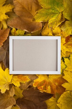 Beautiful autumn composition. Photo frame, dried leaves. Flat lay, top viewの写真素材