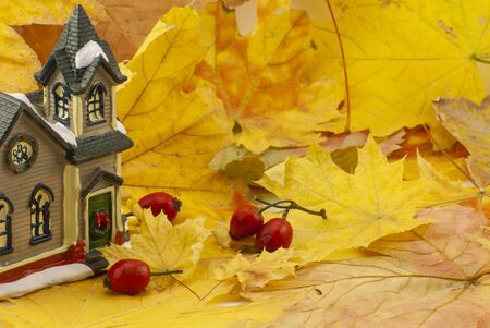 Autumn composition. small toy house. dried leavesの写真素材
