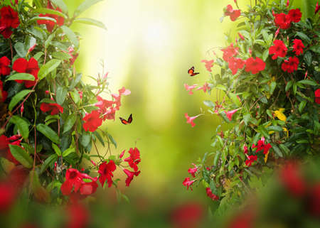Beautiful blooming flowers. Spring-summer garden and flying butterflies on blurred sunny shiny...