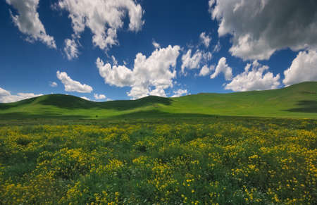 Summer landscape with beautiful green field, sky and clouds.
