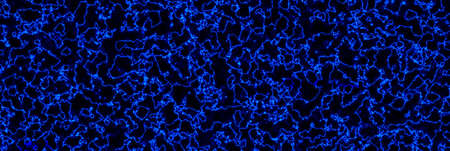 Beautiful abstract fantasy light in space. Fractal texture dark background. 3d Illustration.の写真素材