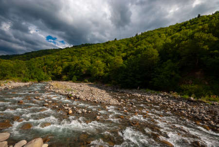 Beautiful summer landscape. Fast flowing mountain river.の写真素材