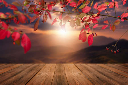 Autumn sunset landscape, with empty wooden table, nature outdoor.の写真素材