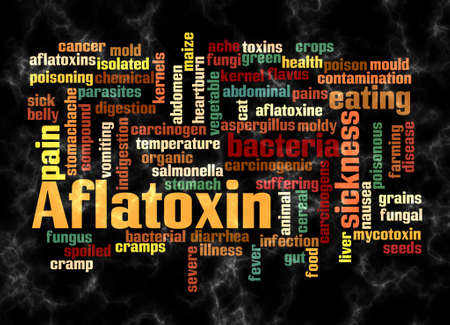 Word Cloud with AFLATOXIN concept create with text only.の写真素材