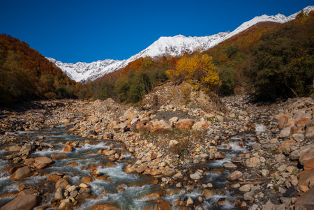 Late autumn view of Caucasus mountainsの写真素材
