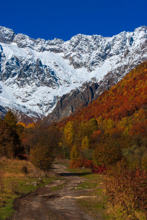 Late autumn view of Caucasus mountains in Georgiaの写真素材