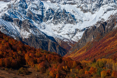 Late autumn view of Caucasus mountains in Georgiaの写真素材