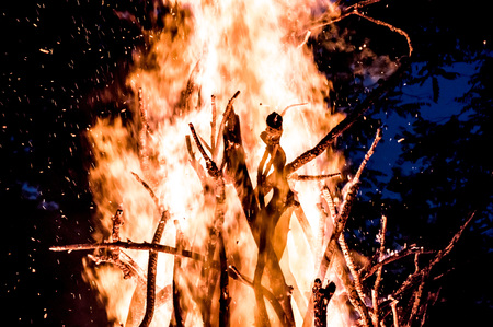 Bonfireの写真素材