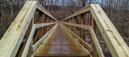 Daddy Long Legs Bridgeの写真素材